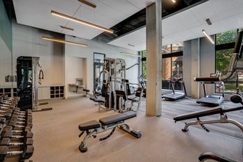 A gym with cardio equipment and weights on the floor